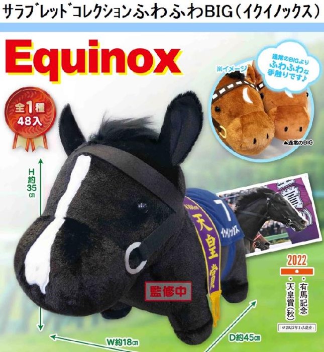 アミューズメント景品　10点セット 6月】スタッフおすすめプライズ景品 - 滋賀県最大級の